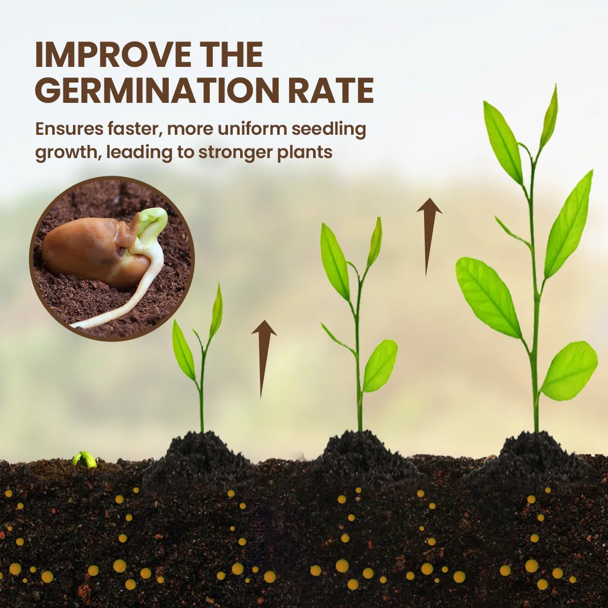 Ourlyard® Soil Activator – Plant & Garden Soil Booster for Healthier Roots & Stronger Plants